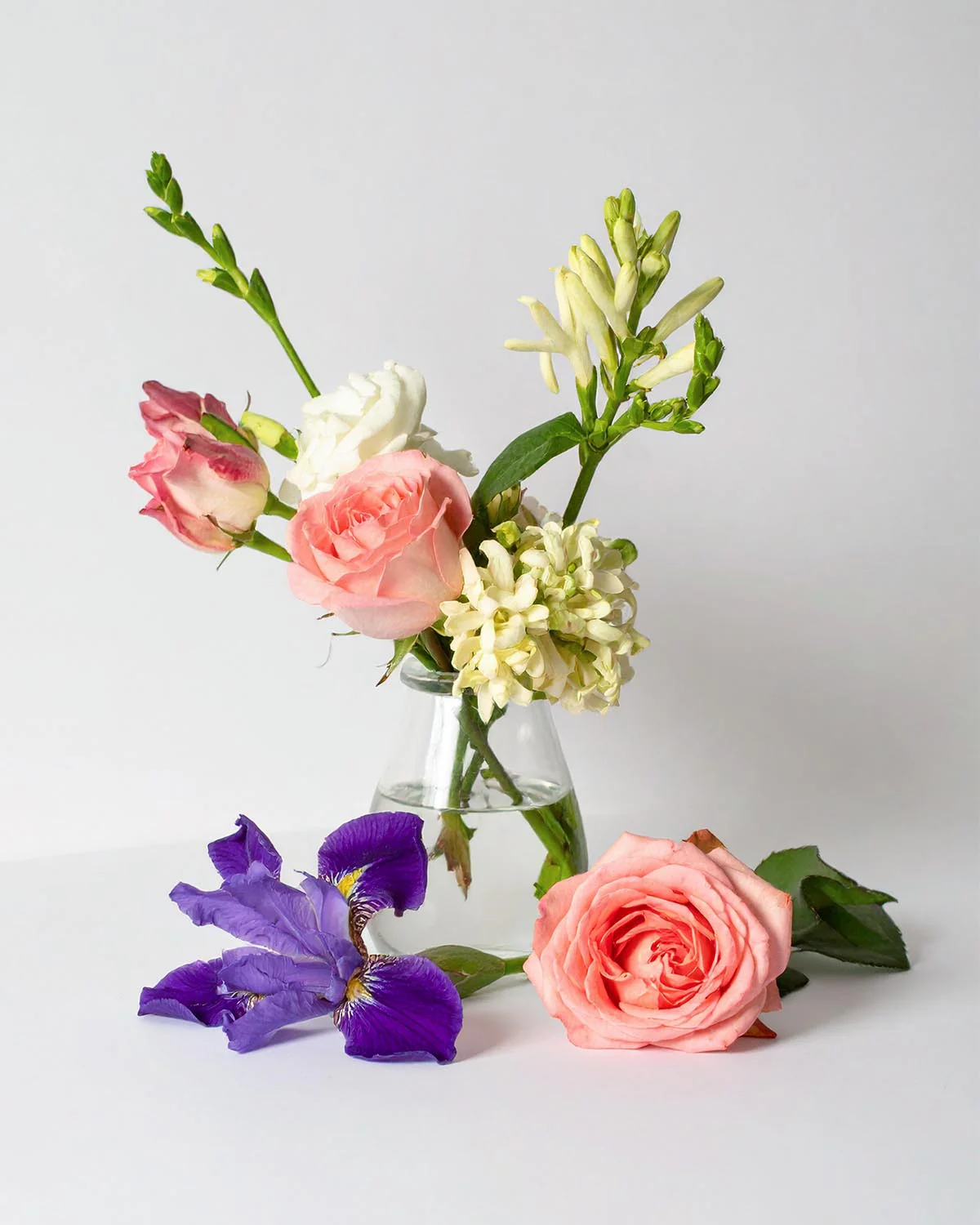 Miniature 2